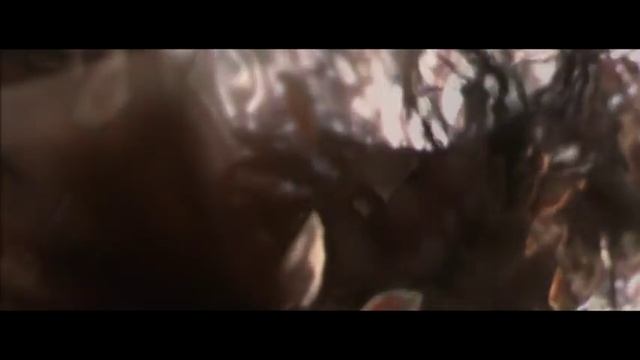 Steen Thottrup - If You Were Here Tonight 432Hz
