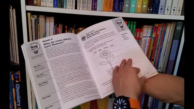 Our Home Library, Homeschool, and Book Recommendations (Part 2) | Abu Mussab Wajdi Akkari смотреть онлайн