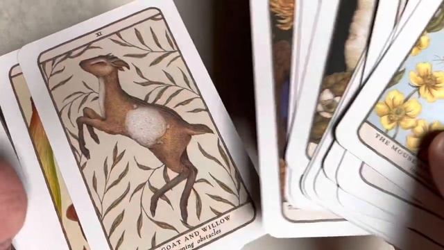 Woodland Wardens (Oracle Deck) смотреть онлайн