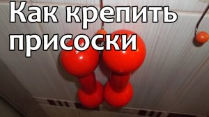 Отваливаются присоски на кафеле (плитке). Что делать