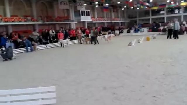 Страйк Лайф Платон. смотреть онлайн