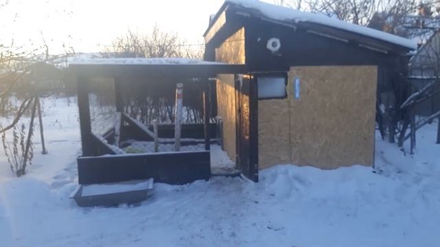 Как построить зимний курятник. смотреть онлайн