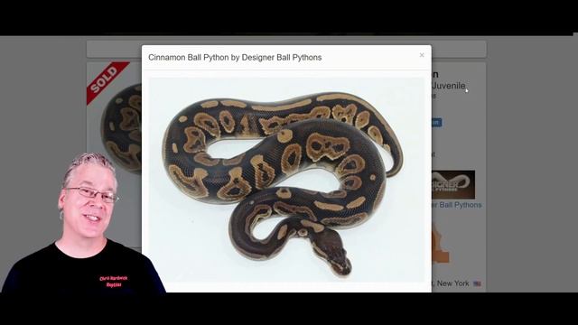The 'Pastave' Ball Python смотреть онлайн