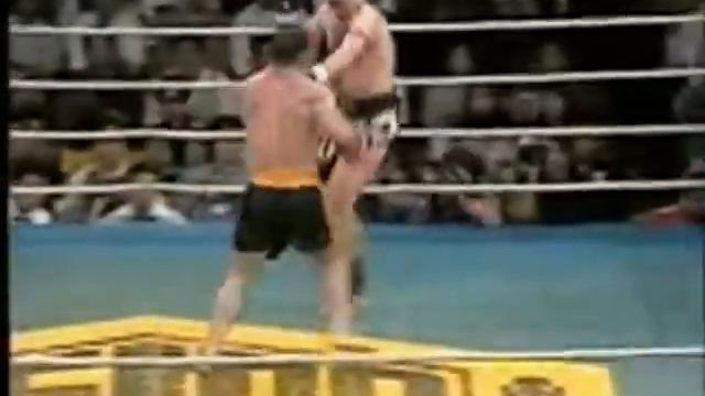 Andy Hug Tribute