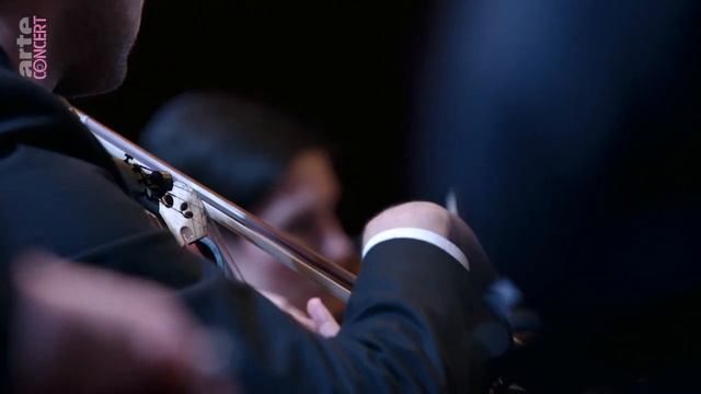 Lucas Debargue, Mikhail Pletnev. Ravel Piano Concerto no 1 in G Major. смотреть онлайн