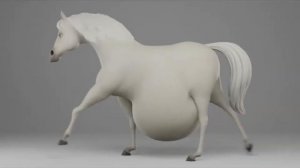 (Vore/Belly/Walking) Maximized Carry Capacity