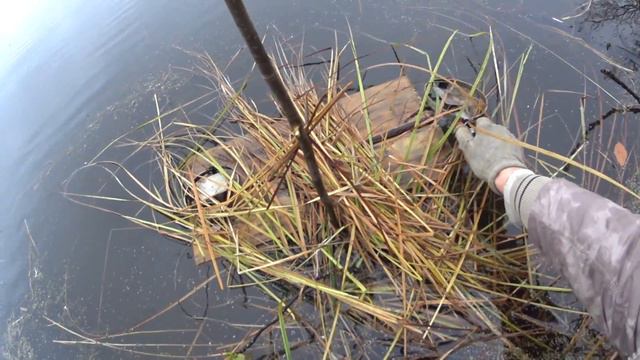 ПРОВЕРКА КАПКАНОВ НА ОНДАТРУ смотреть онлайн