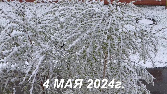 С ДОБРЫМ УТРОМ, УРАЛ!