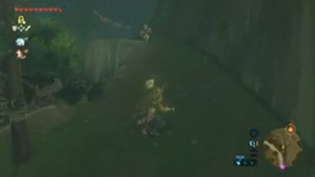 The Legend Of Zelda: BOtW Лес Короков. Затерянные Леса #7