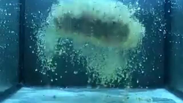 DUNAEV PREMIUM ЛЕЩ