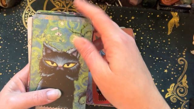 My Oracle Deck Collection Part 6 2022 смотреть онлайн