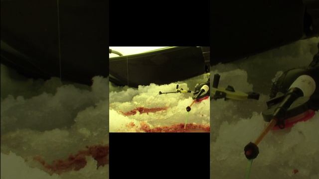 Плотва на мормышку.mp4 смотреть онлайн