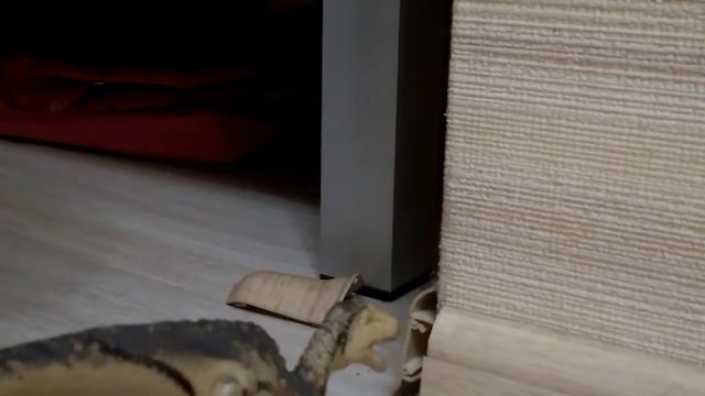 Самое неудачное видео (Жизнь динозавров)! смотреть онлайн
