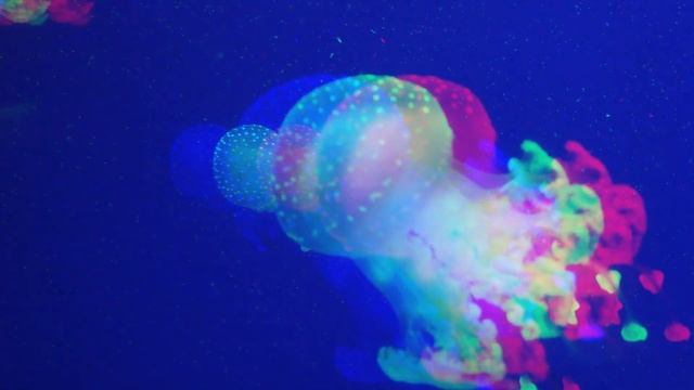 Dub Techno Mix Deep & Groovy I Pattern 2 смотреть онлайн