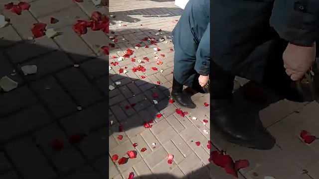 Бабушки на свадьбе смотреть онлайн