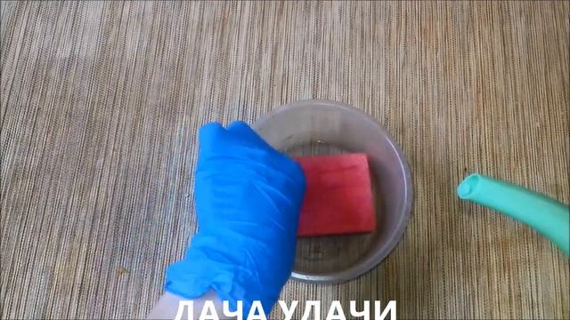 СЕКРЕТ выращивания БАЗИЛИКА! Приживаются все ростки! ДАЧА УДАЧА смотреть онлайн