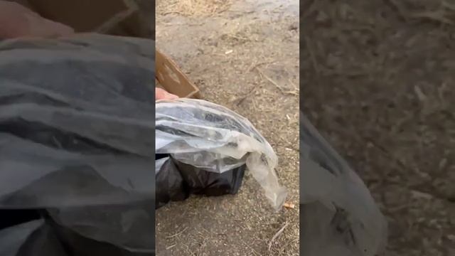 -1 примета) #рыбалка2023 #fishing #fishingtechniques #рыбалкаказахстан #fish #рыбалка #catchingfish смотреть онлайн