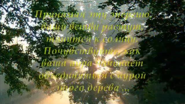 Медитация Заземления смотреть онлайн