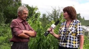 Школа Сергея Чудопалова. Персики.