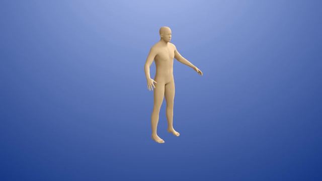 Los sistemas del cuerpo humano para niños - Recopilación смотреть онлайн