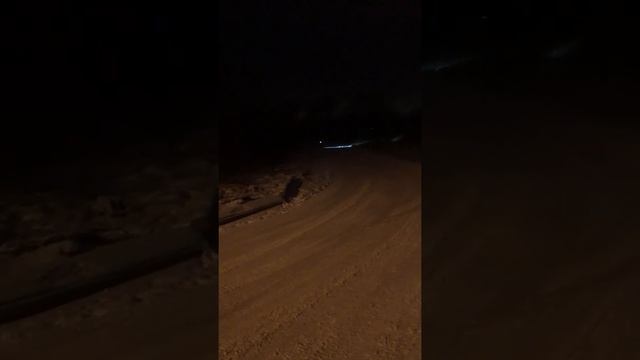 мотособака