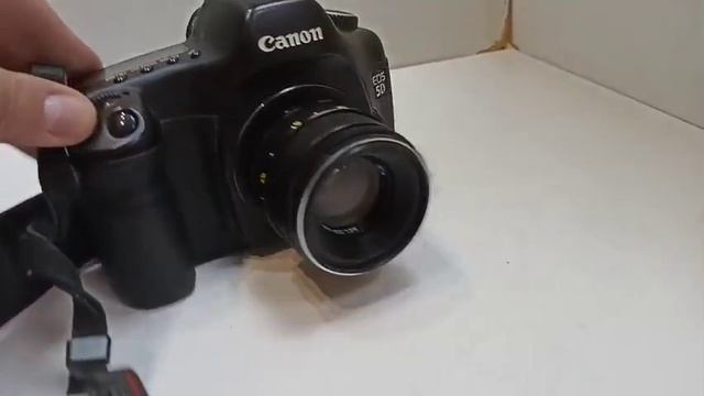 Видео №276215