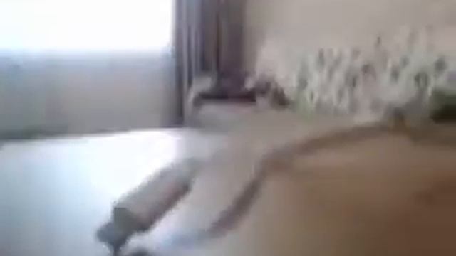 Повер бан GERFFINS стоит ли покупать смотреть онлайн