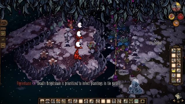 Trap for Deadly Brightshade / Don't Starve Together Guide смотреть онлайн
