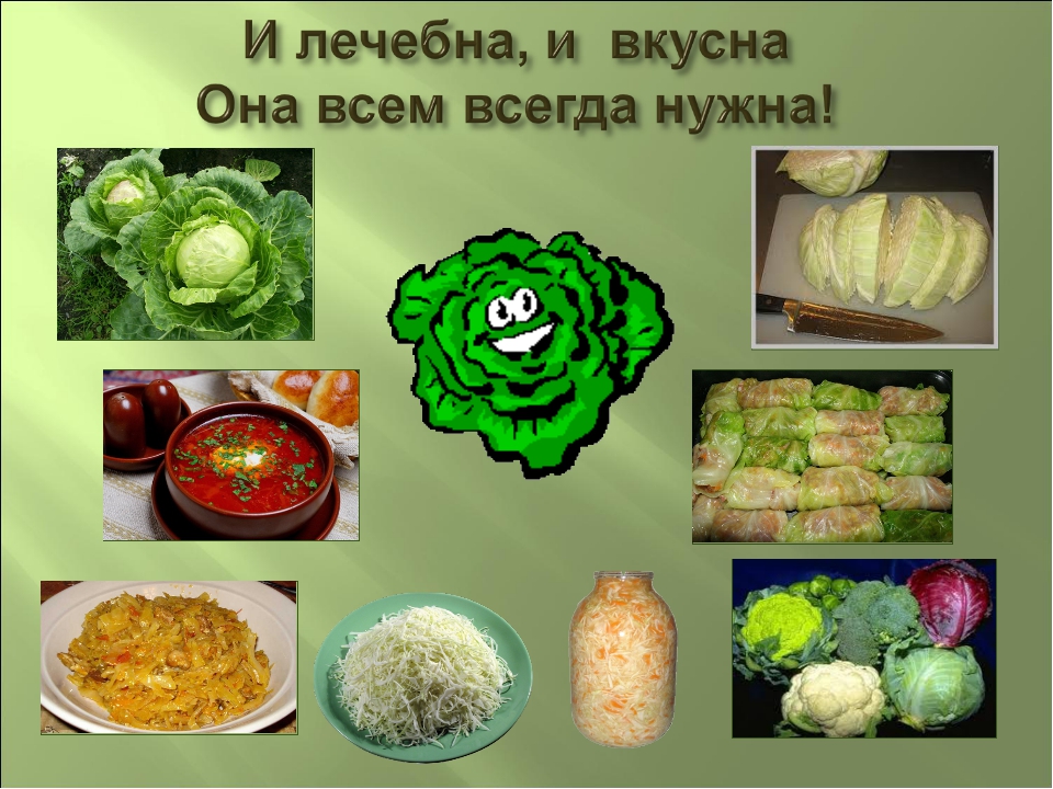 История появления капусты. смотреть онлайн