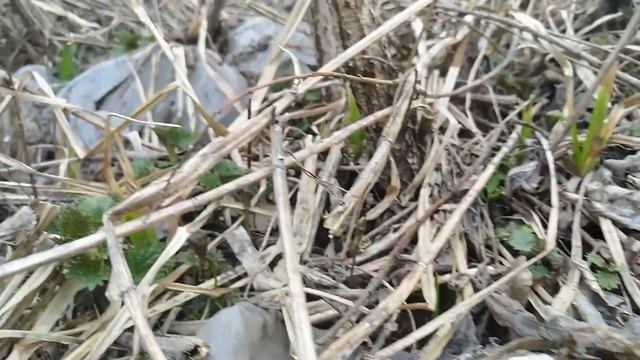 Абаза с высоты кошачьего взгляда смотреть онлайн