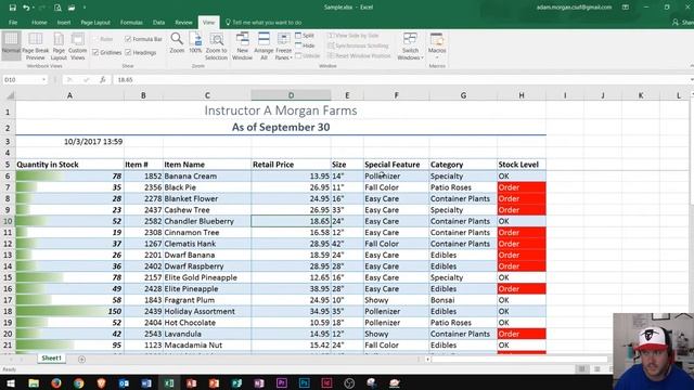 Excel 2016 - Freeze Panes - Date & Time Functions - How To Freeze Rows & Columns - Row & Column 365 смотреть онлайн