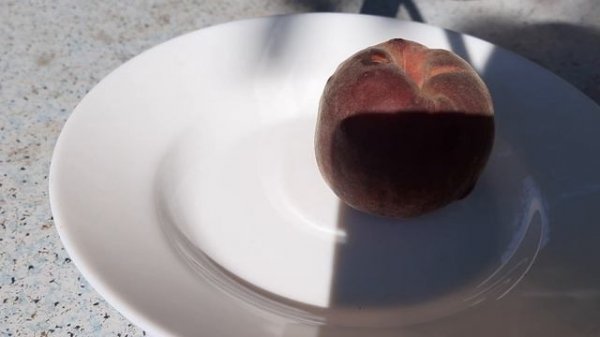 #Персик Руби Рич