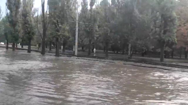 кто куда а мы плывем смотреть онлайн