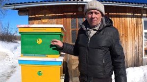 2 Часть, ГОДОВОЙ ЦИКЛ РАБОТЫ С ПЧЁЛАМИ от А до Я, в 12 рамочном улье, ДОПОЛНЕНИЕ К ВИДЕО, ОТВЕТЫ.