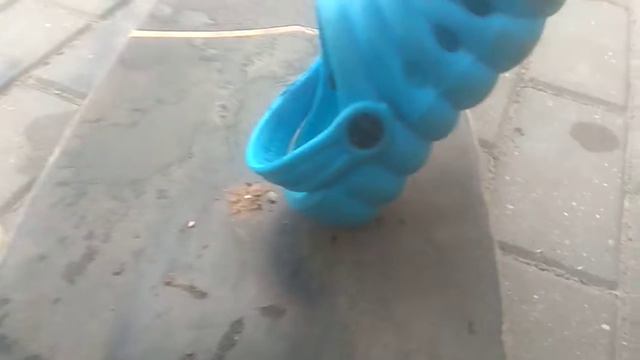 История про гусеницу!!! смотреть онлайн