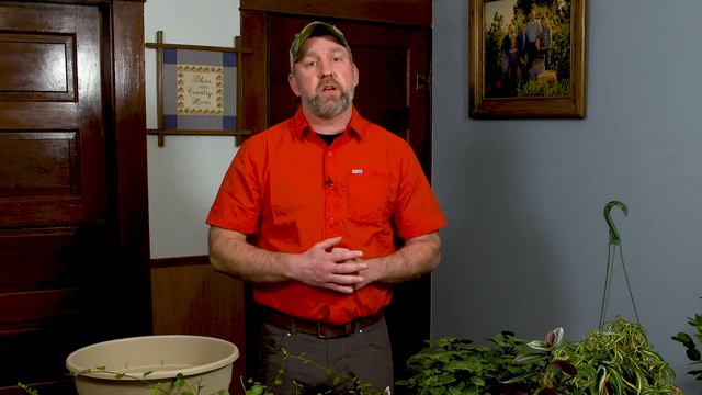 Chapter 2 - Shade Hanging Basket Class