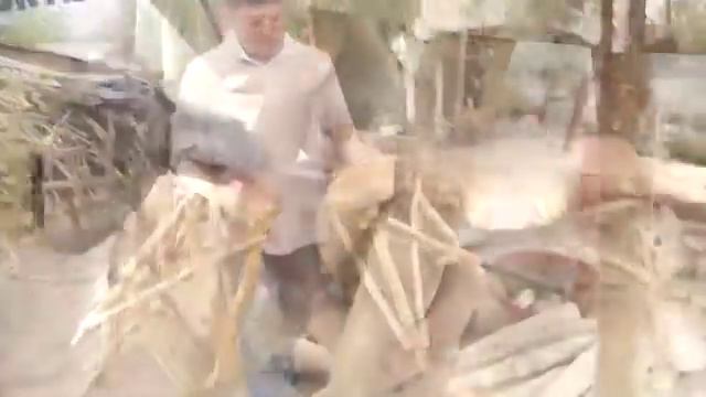 Artesanos de Madera смотреть онлайн