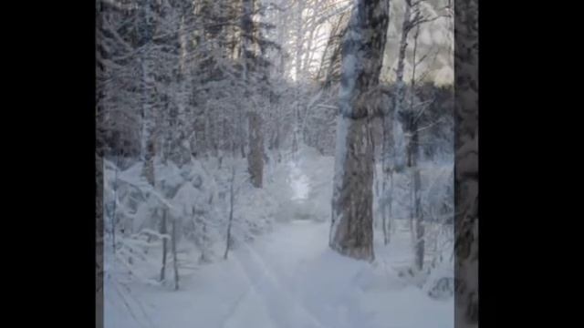 лес в Огуднево.wmv смотреть онлайн