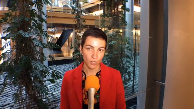 Ska KELLER MEP on Catalonia смотреть онлайн