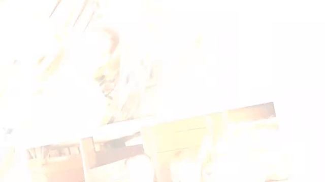 Конная прогулка для двоих в подарок. Игорь и Елена. Конный клуб Марков и К "Гармония" Оренбург смотреть онлайн