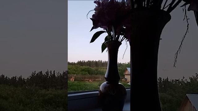 Летний вечер смотреть онлайн