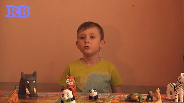 Животные дикой природы, выпуски1-13 смотреть онлайн