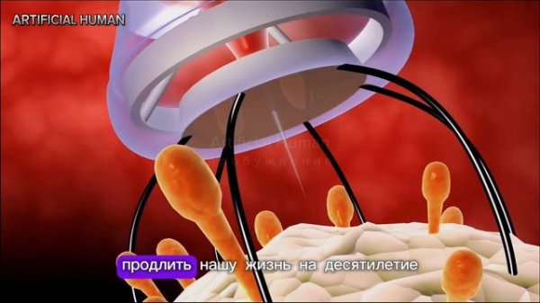 Искусственный интеллект - Завтрашний Синтез: Человек и Машина в Эволюции ИИ / Artificial Human