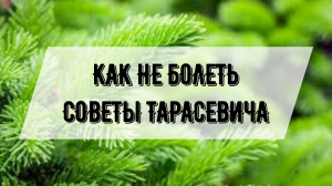 Как не  болеть совет Тарасевича
