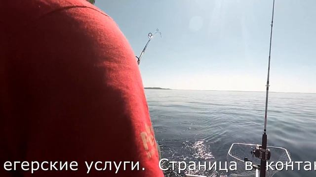 Душевная компания это залог хорошего отдыха и отличной рыбалки смотреть онлайн