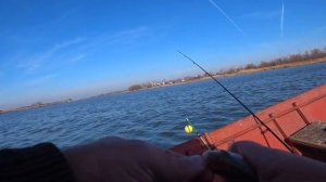 ЛУЧШАЯ НАЖИВКА ДЛЯ  РЫБАЛКИ! ЭТО КРЕВЕТКА!