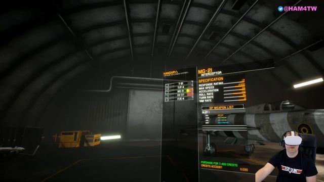 Project Wingman VR (Quest 2 + Link)