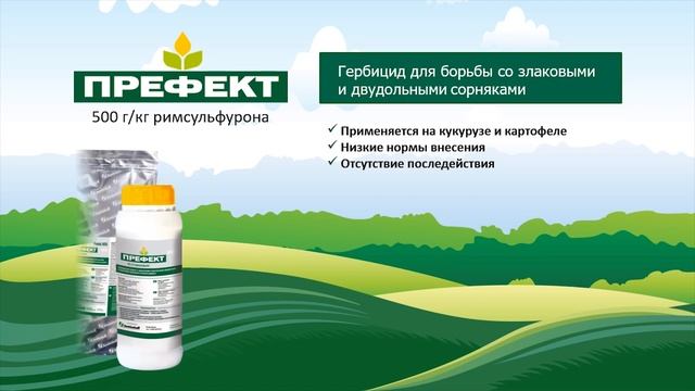 Гербицид Префект решает проблемы засоренности в посевах кукурузы и картофеля смотреть онлайн