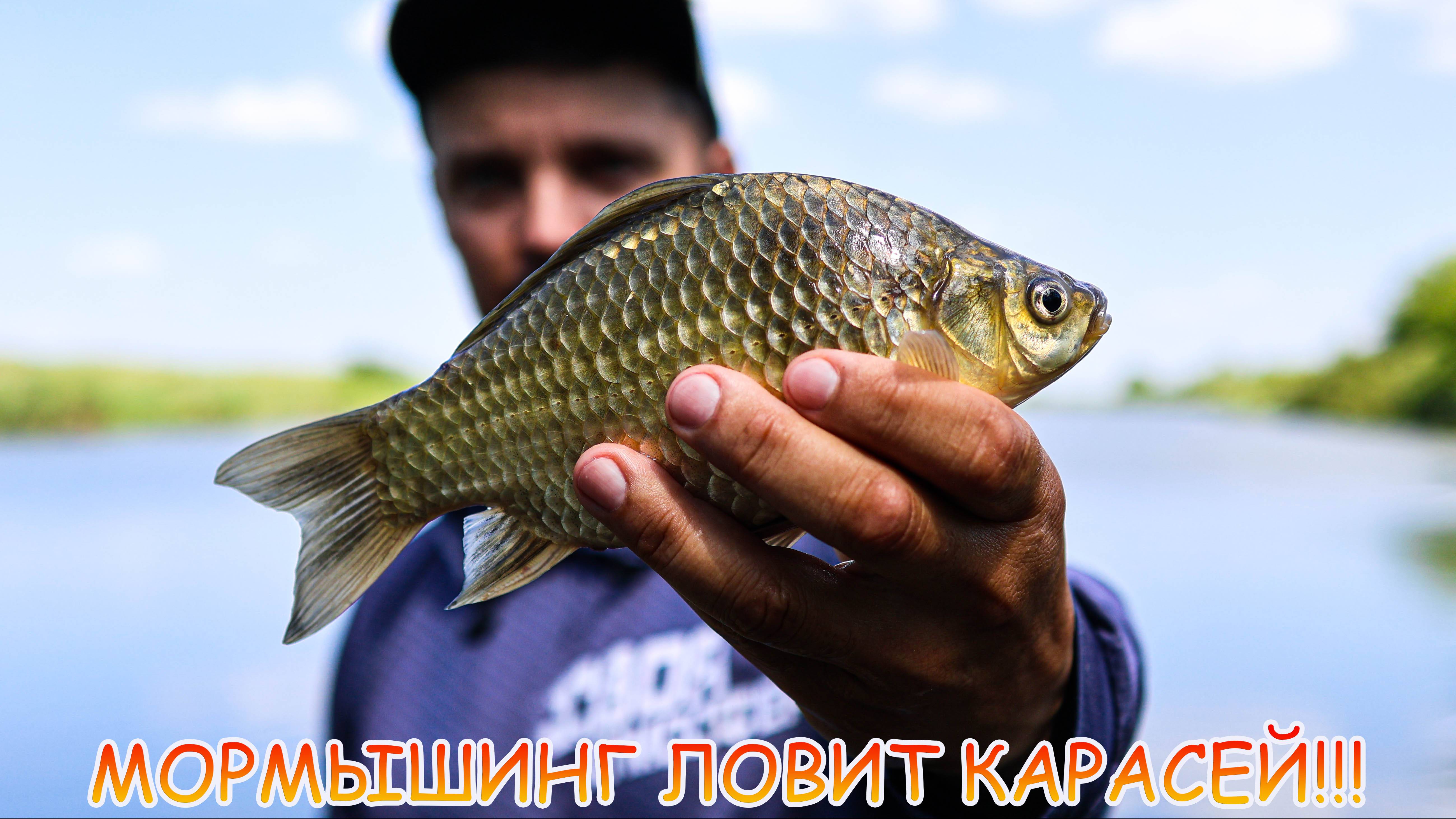 Мормышинг ловит КАРАСЕЙ!!! Спиннинг, приманки, мормышки... Монстры тоже ловятся на мормо!!! смотреть онлайн