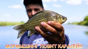 Мормышинг ловит КАРАСЕЙ!!! Спиннинг, приманки, мормышки... Монстры тоже ловятся на мормо!!!